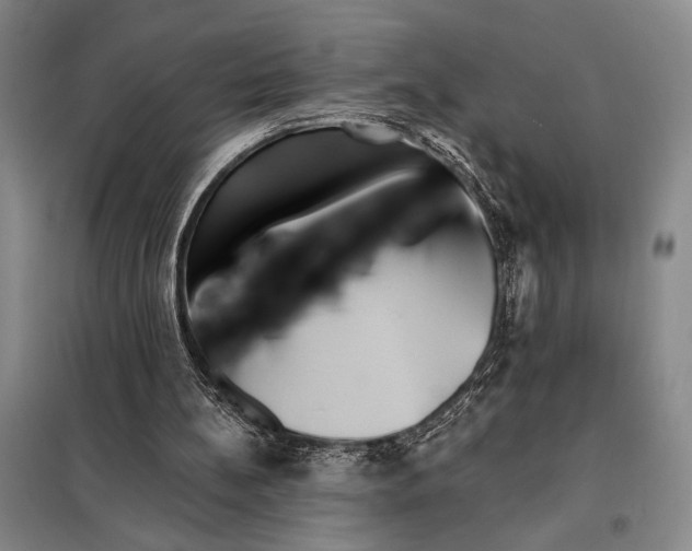 X0000098010148200804181145