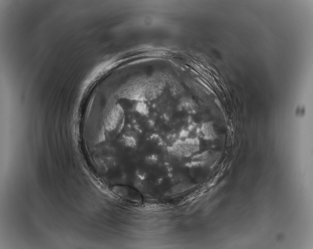 X0000098010149200804181145