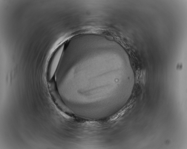 X0000098010150200804181145