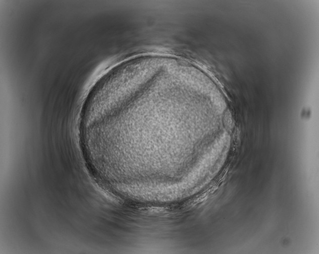 X0000098010151200804181145