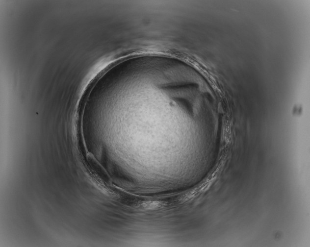 X0000098010152200804181145