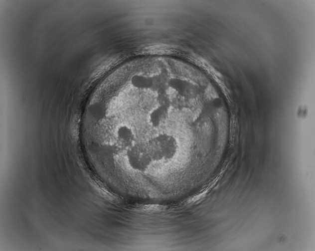 X0000098010153200804181145