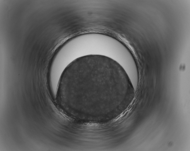 X0000098010154200804181145