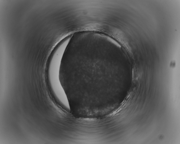 X0000098010156200804181145