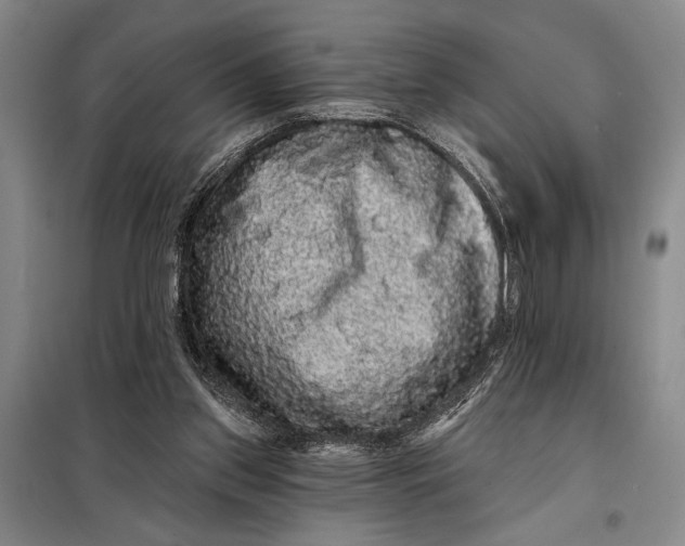 X0000098010157200804181145