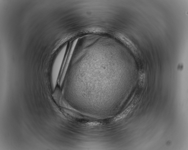 X0000098010158200804181145