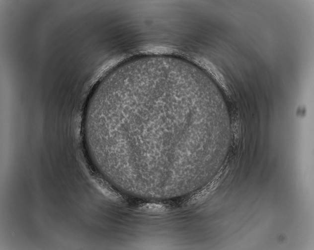 X0000098010159200804181145