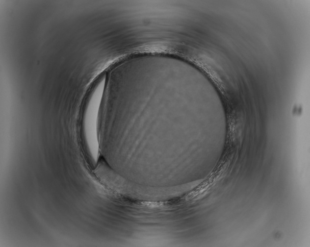 X0000098010160200804181145