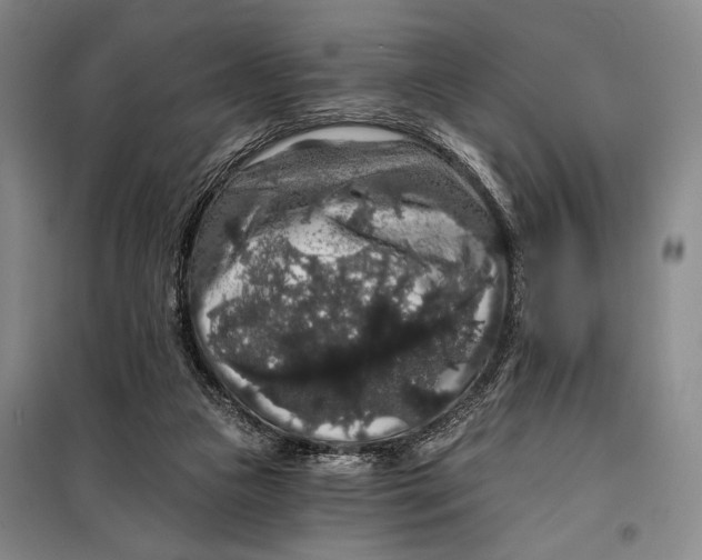 X0000098010161200804181145