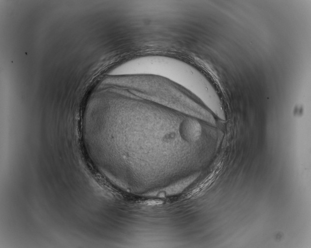 X0000098010162200804181145