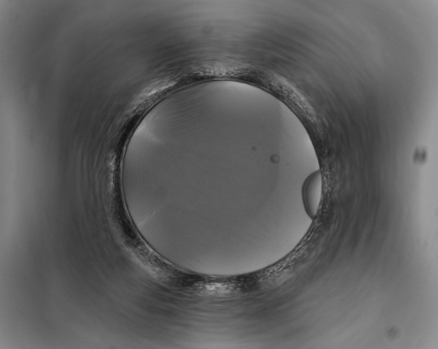 X0000098010163200804181145