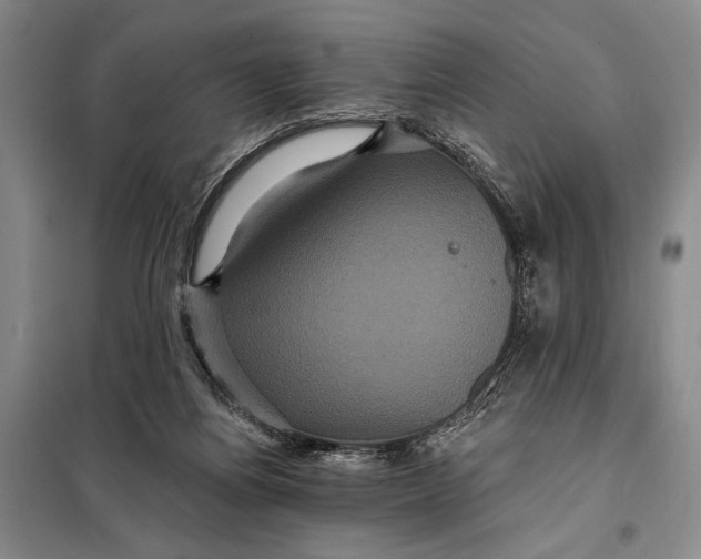 X0000098010164200804181145