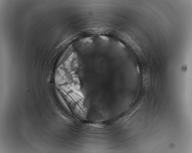 X0000098010165200804181145