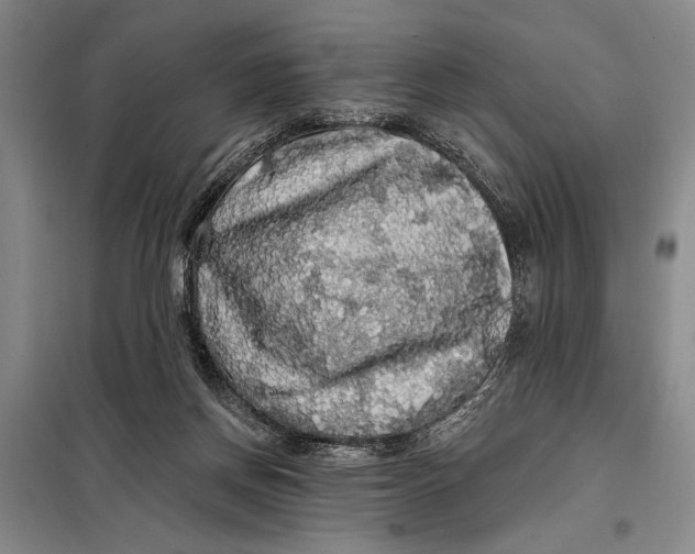 X0000098010166200804181145