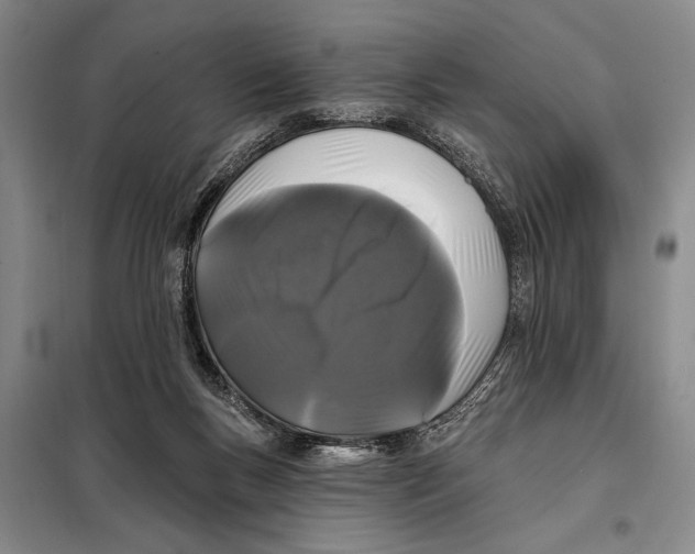 X0000098010167200804181145