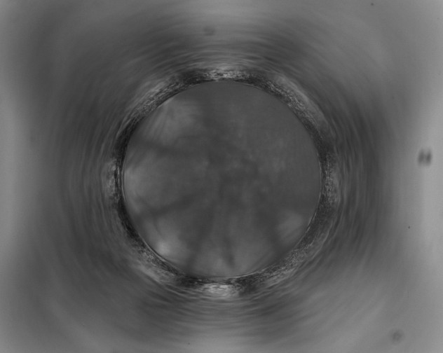 X0000098010169200804181145