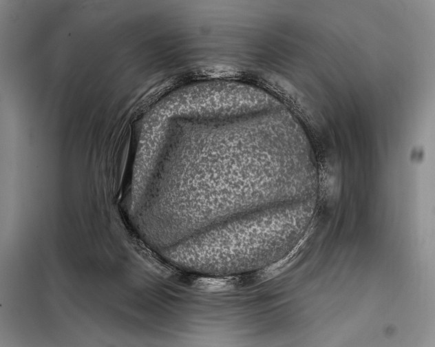 X0000098010170200804181145