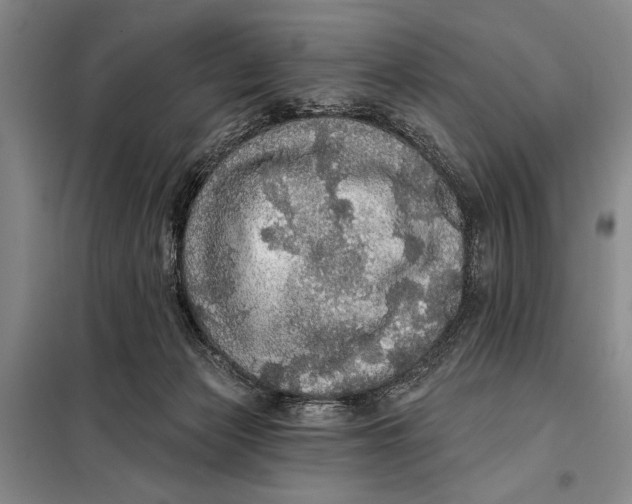 X0000098010173200804181145