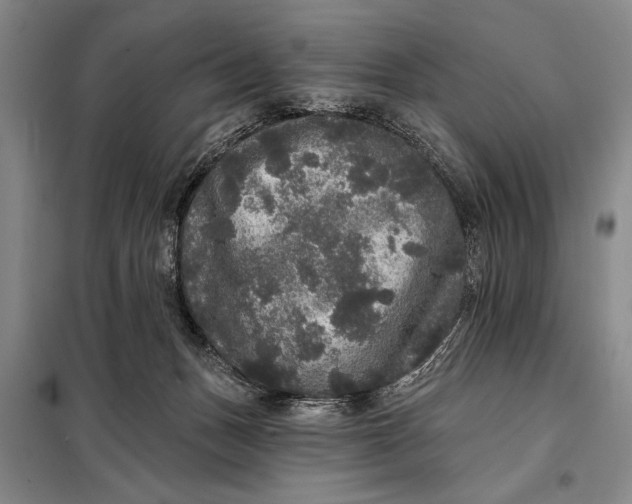 X0000098010175200804181145