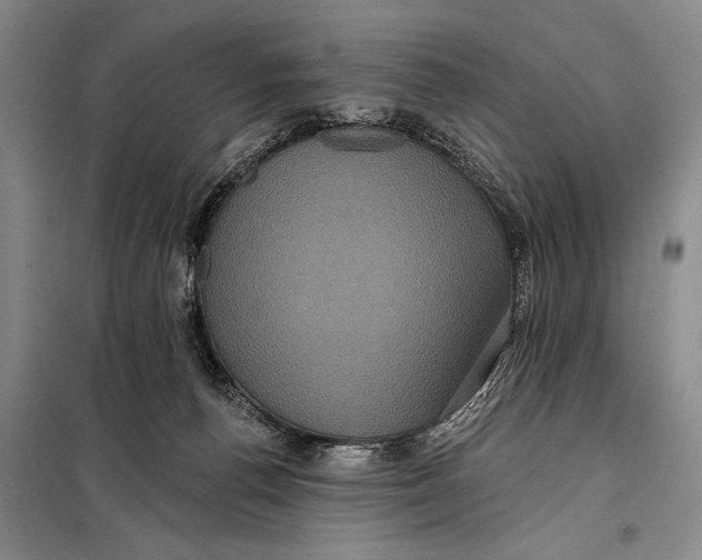 X0000098010176200804181145