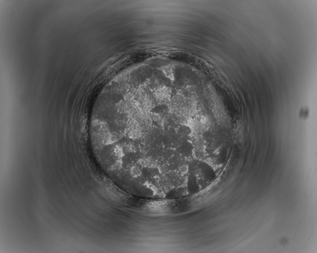 X0000098010178200804181145