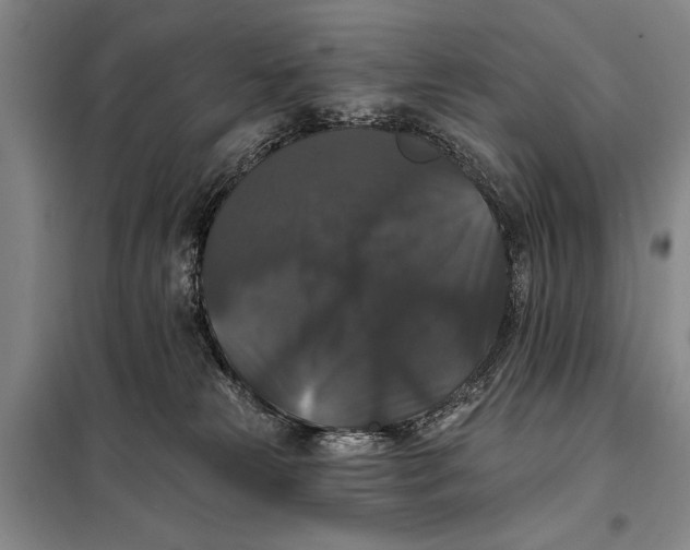 X0000098010181200804181145