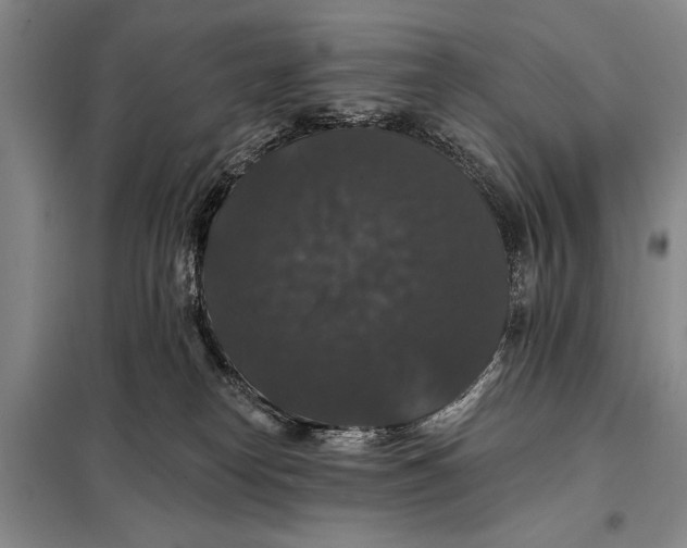 X0000098010182200804181145