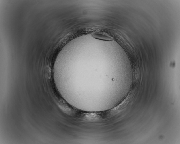 X0000098010183200804181145