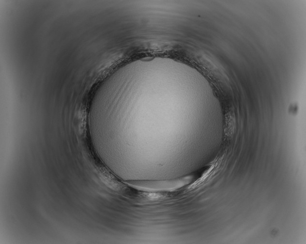 X0000098010184200804181145