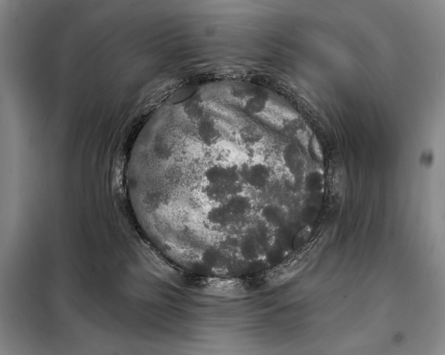 X0000098010185200804181145