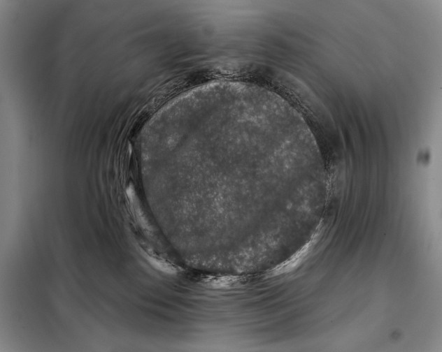 X0000098010186200804181145