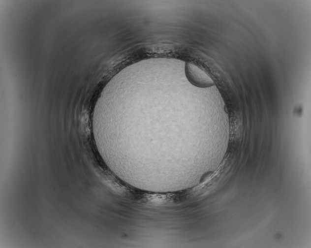 X0000098010187200804181145