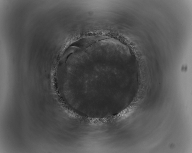 X0000098010192200804181145