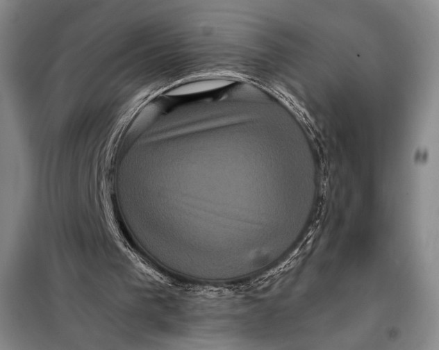 X0000098010193200804181145