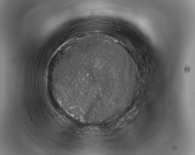 X0000098010194200804181145