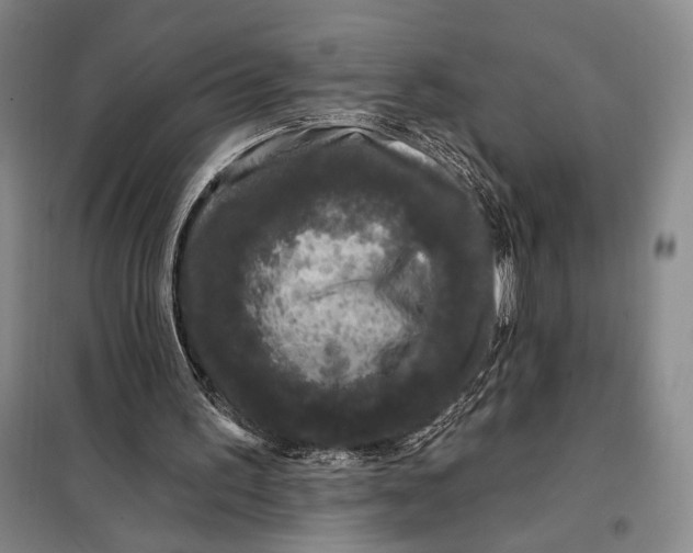 X0000098010195200804181145