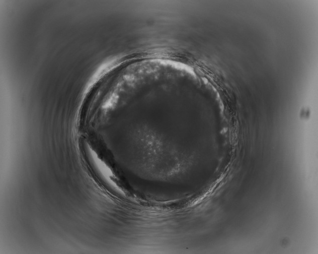 X0000098010198200804181144