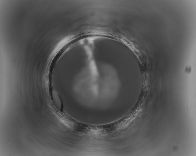 X0000098010199200804181144