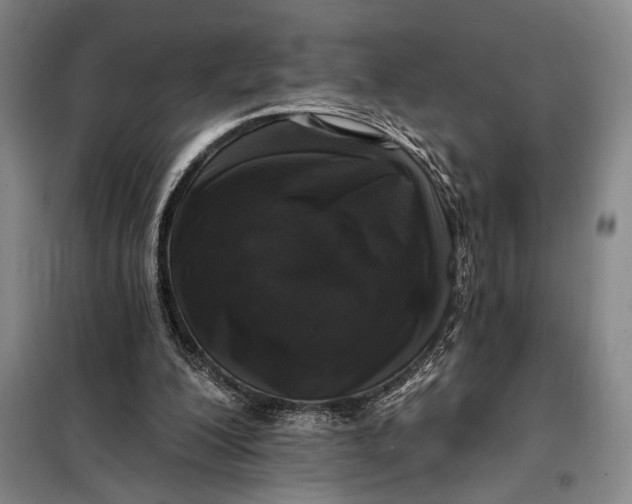 X0000098010200200804181144