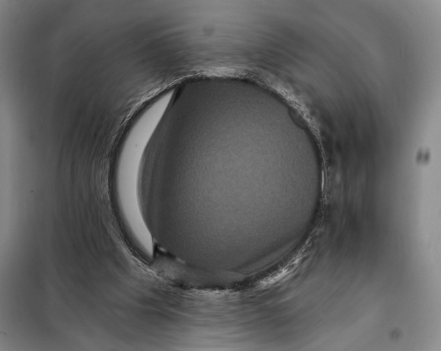 X0000098010201200804181144