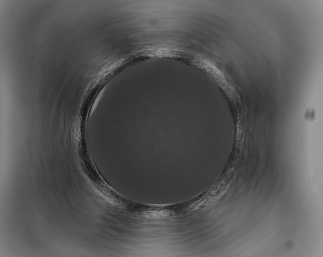 X0000098010202200804181144