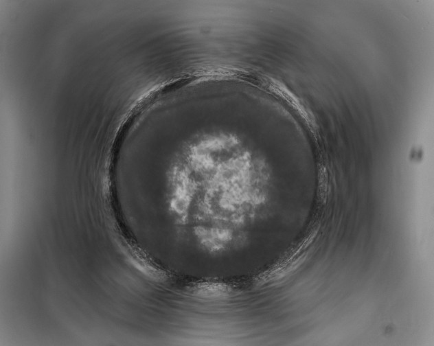 X0000098010203200804181144