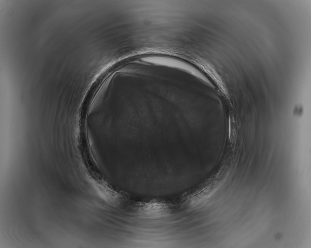 X0000098010204200804181144