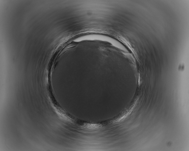 X0000098010205200804181144