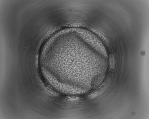 X0000098010206200804181144