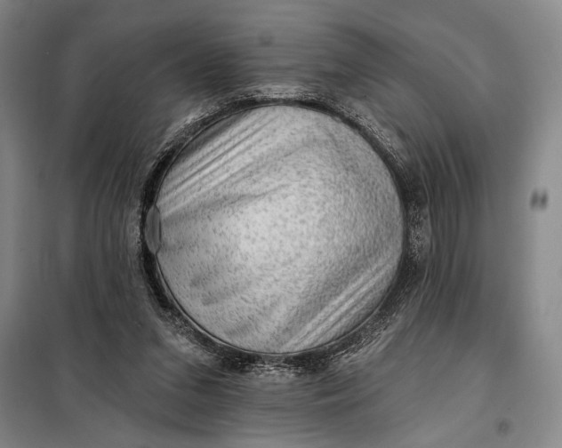 X0000098010207200804181144