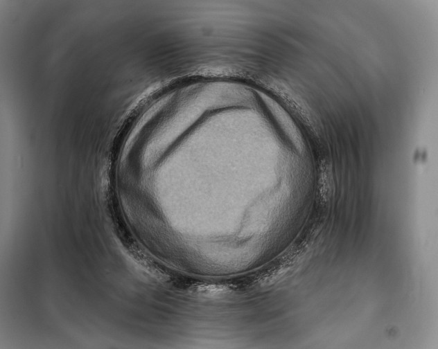 X0000098010208200804181144