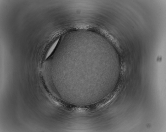 X0000098010209200804181144