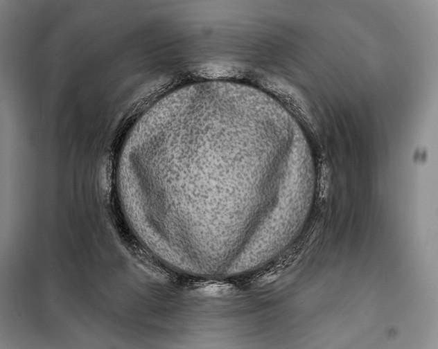 X0000098010210200804181144