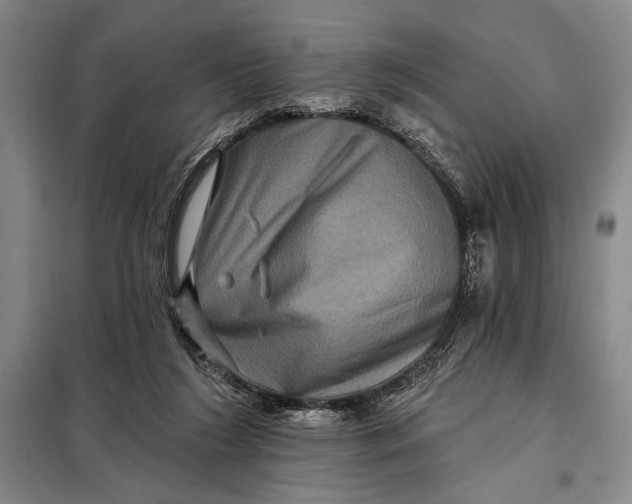 X0000098010212200804181144